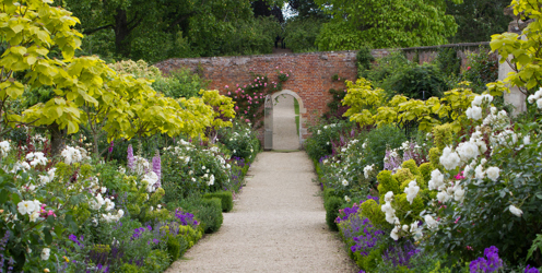 The revised Level 2 Horticulture apprenticeship launches with the National Trust