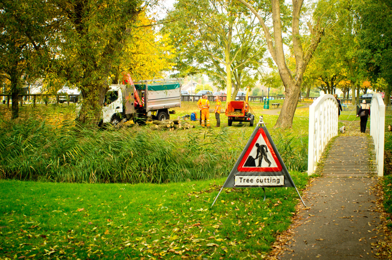 Utility - Tree Cutting
