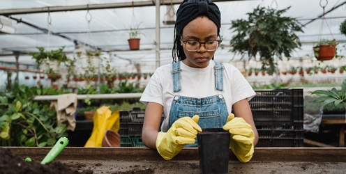 Upcoming Tyfu Cymru workshops and events announced: September and October