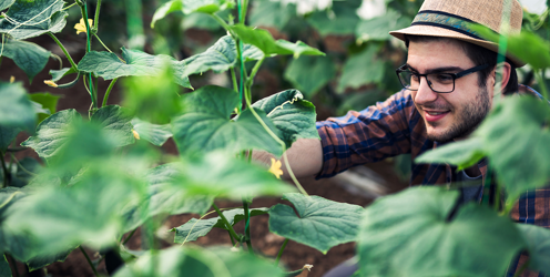 The Young Horticulturist of the Year Competition 2024