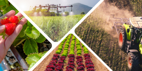 Discover Your Perfect Career Path with Lantra