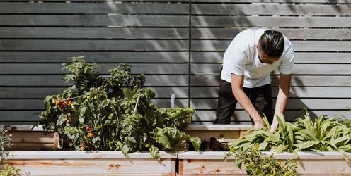 Upcoming Tyfu Cymru workshops and events announced: February - April