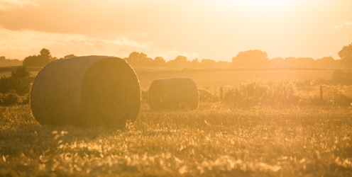 Farming Connect – Spotlighting the importance of training for small farm businesses