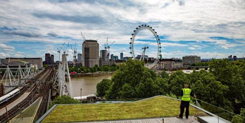 Green Roofs e-learning provides route into sector training this World Green Roof Day