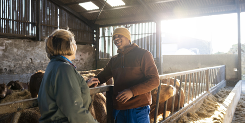 Employer toolkit to boost the take-up of apprenticeships by small farming businesses.