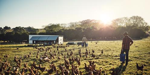 The Apprenticeship journey - Alison Payne's story