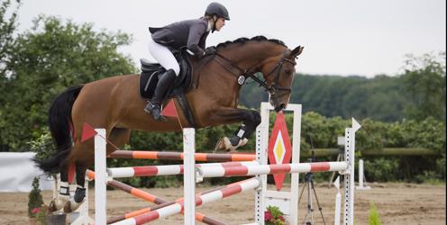 Lantra Wales ‘Rural event training’ proves a winner for Welsh show organisers