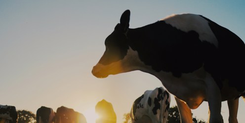 Lantra leads training hub at ‘must-attend’ event for dairy professionals