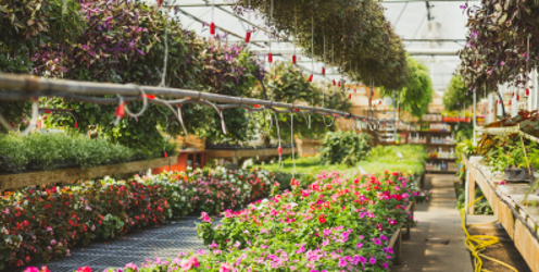 NWEXW2023: How work experience builds a wide range of skills