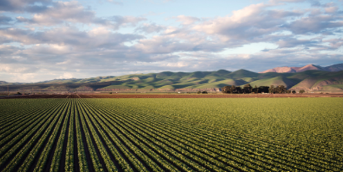 Invest in training to support safe and productive agriculture