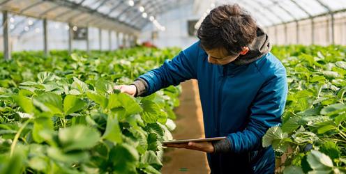 The Young Horticulturist of the Year Competition 2023: launch date revealed