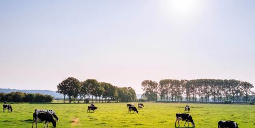 NAW2023: Learning prepares James for the farming 'way of life'