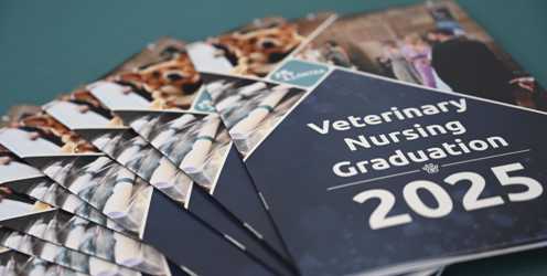 Celebrating Achievement: Lantra’s Veterinary Nursing Graduation Ceremony