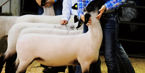 Lantra Rural Event Training: Find out more from the Industry