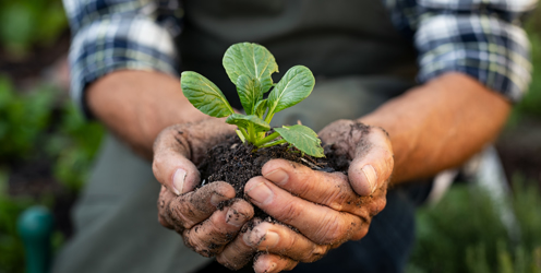 Securing Careers through End Point Assessment: Ella Miles